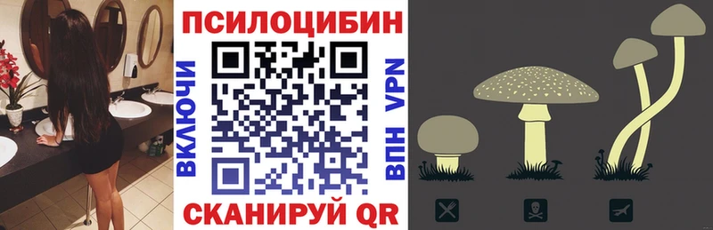 Галлюциногенные грибы мицелий  hydra зеркало  Братск 