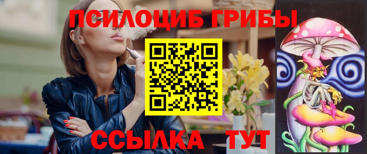 Братск  Галлюциногенные грибы GOLDEN TEACHER  Вход с VPN  Псилоцибиновые грибы Psilocybe 