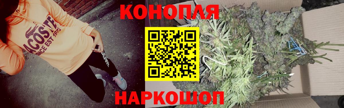 Канабис конопля Братск